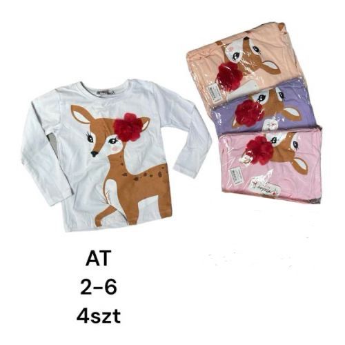AT 8.36 (2-6L) 4szt. 8 zł